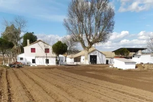 Diseño sin título (3) (1)