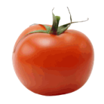 Fresh Red Onion